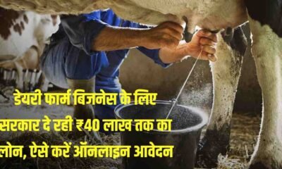 Dairy Farming Loan Apply 2025